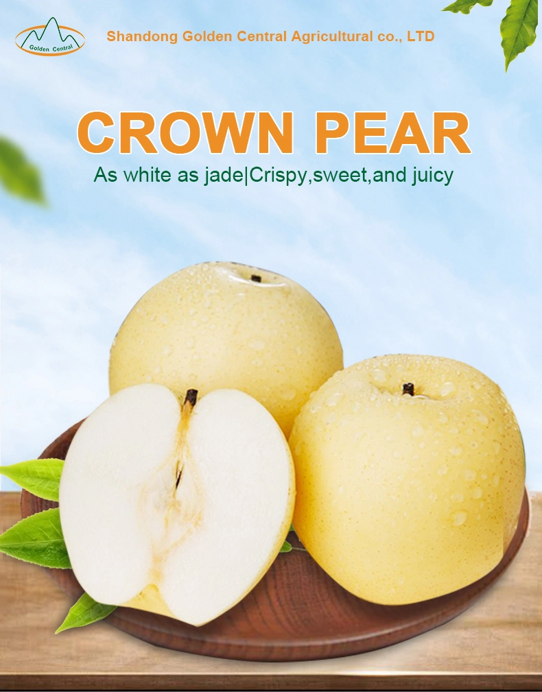 Wholesale Sweet Juicy Chinese Fresh Crown Pear with High Quality