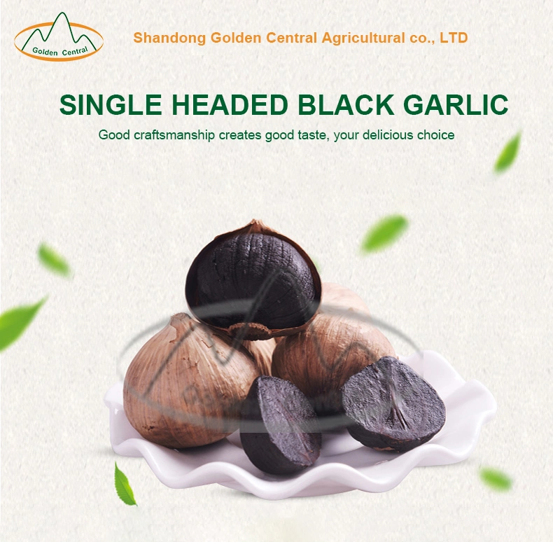 China Export Cheapest Natural Organic Black Garlic