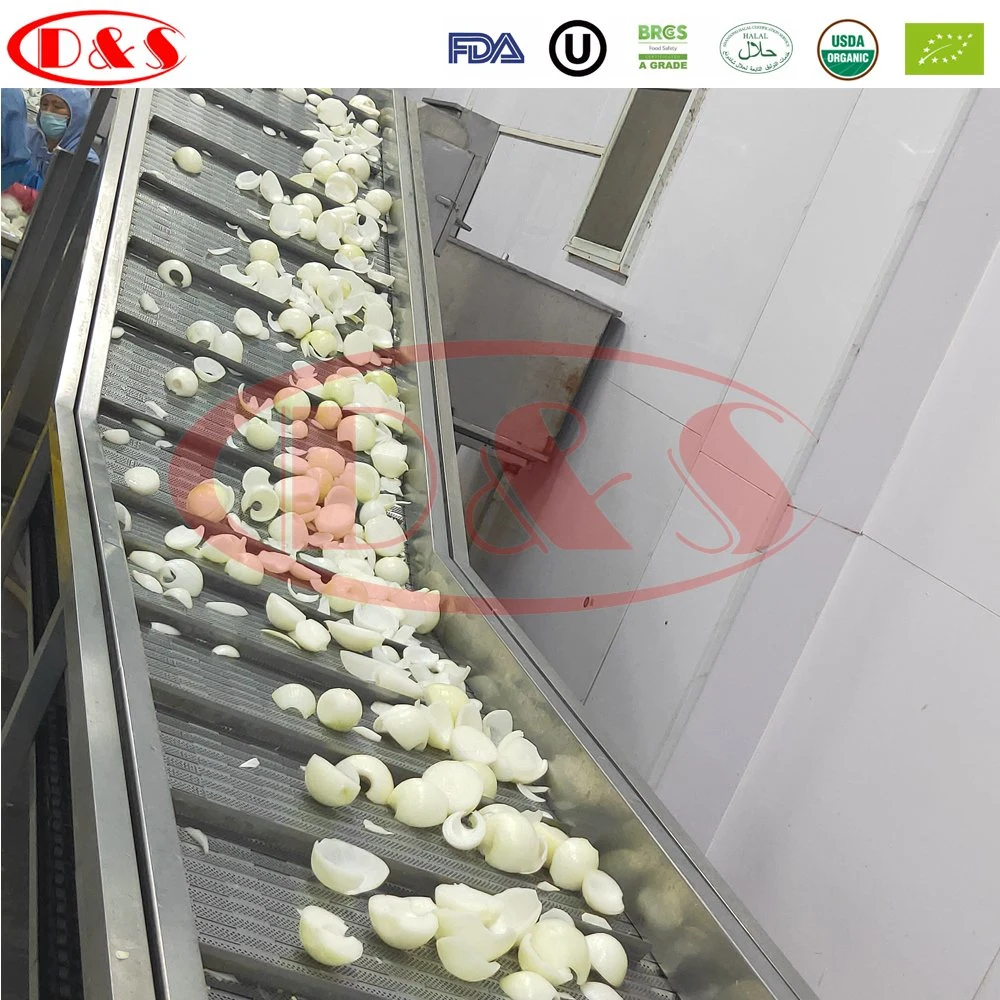 China Vegetables IQF Onion Frozen Peeled Onion /Dice/Slice Onion