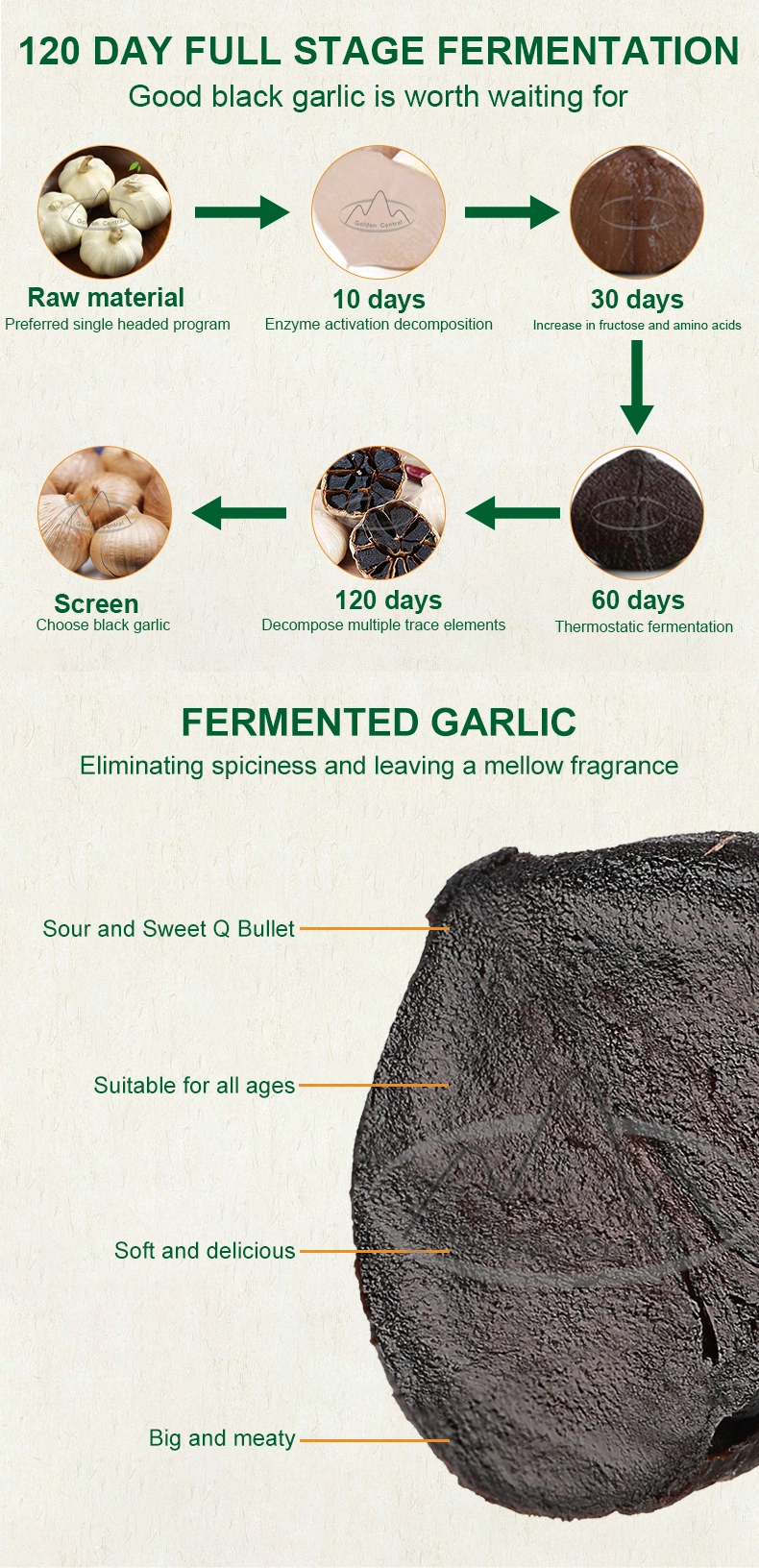 China Export Cheapest Natural Organic Black Garlic