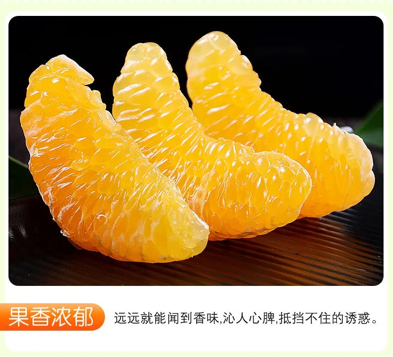 Best Sweet Yongchun Pokan, Fresh Mandarin Orange in Grade a