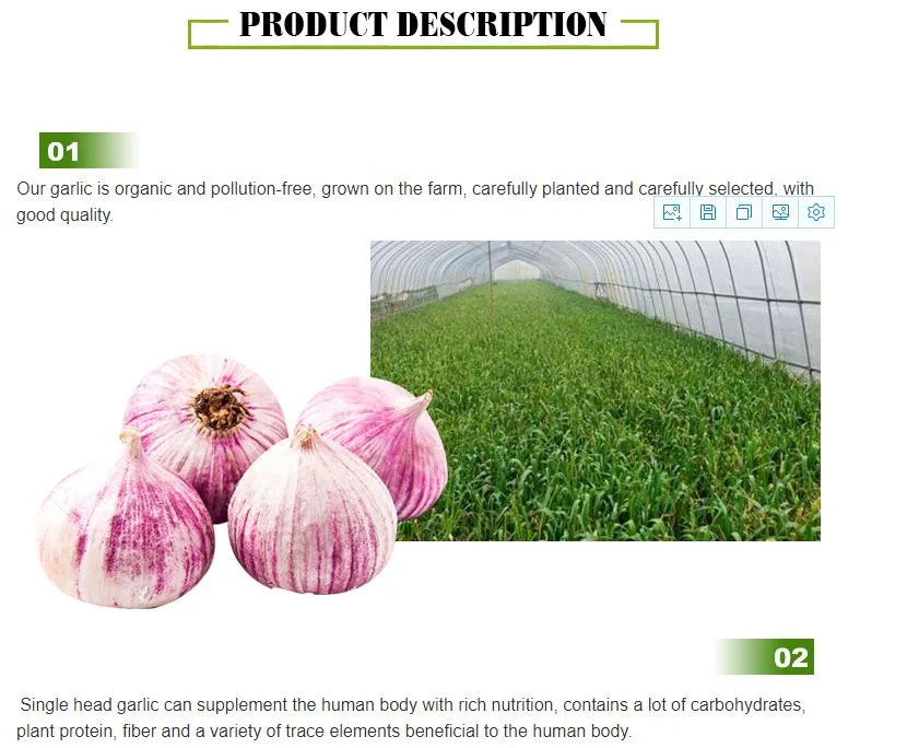 Top Quality Best Wholesale New Crop Fresh Solo Garlic Price From Yunnan Origin